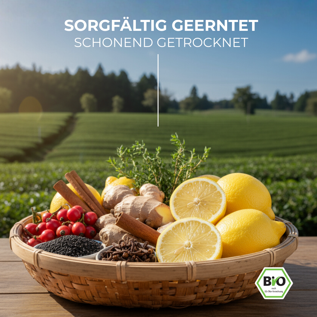 Bio Schwarzkümmel Tee - Immun 100g