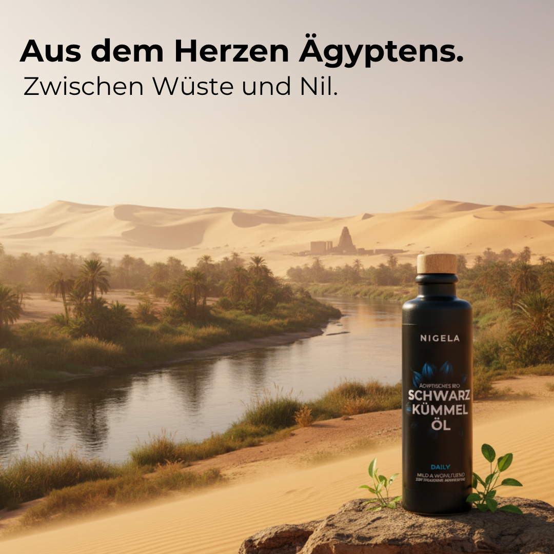 DAILY Schwarzkümmelöl ungefiltert 200ml