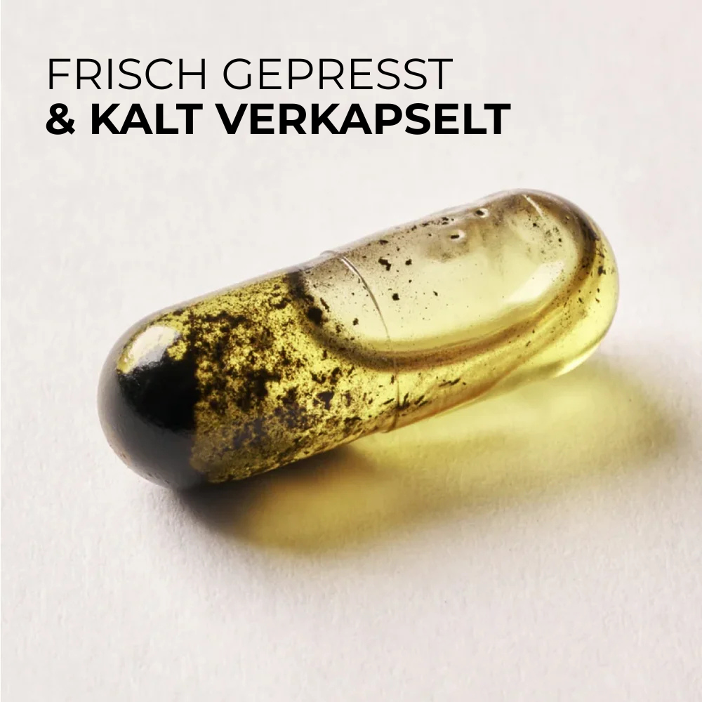 Schwarzkümmelöl Kapseln DAILY