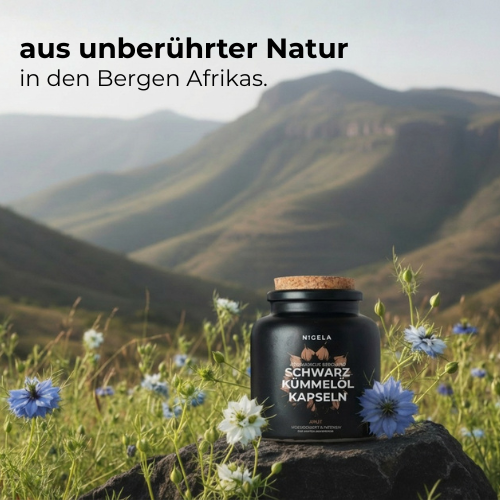 Schwarzkümmelöl Kapseln AKUT