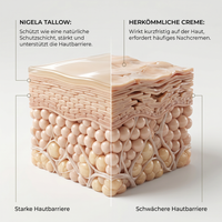 3D-Grafik zum Vergleich zwischen starker Hautbarriere mit Nigela Tallow und herkömmlicher Creme.