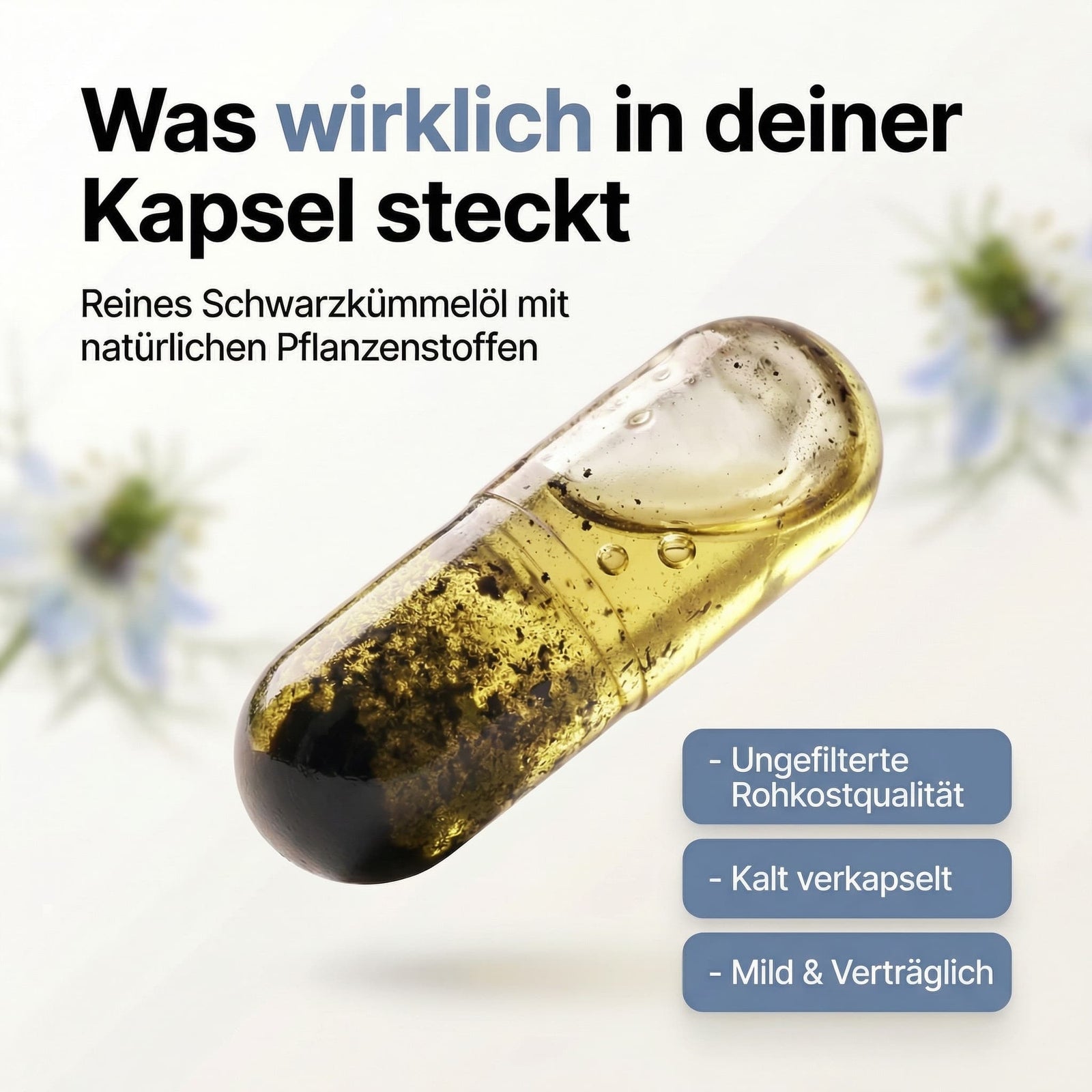 Bestseller Bundle Kapseln