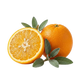 Orange-Salbei