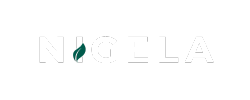 Alt Image
