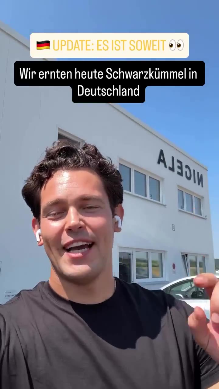 Die Ernte